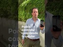 Cargador rápido auto eléctrico - Zencar WA-32P - 7.4kW - Toma GBT